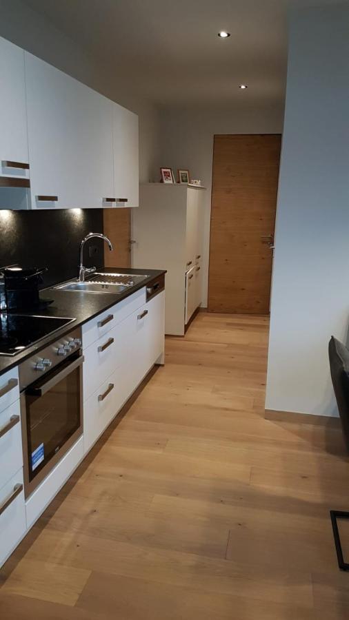 Appartement Mountainview Зальбах-Хинтерглемм Экстерьер фото